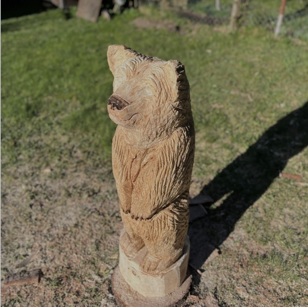 Standing Bear